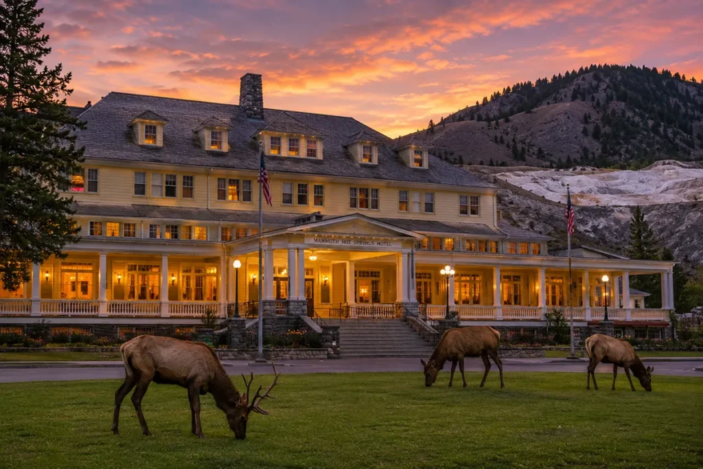 Mammoth Hot Springs at dusk
