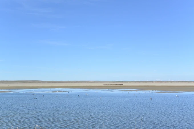 Benton Lake National Wildlife Refuge