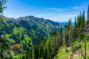 Read more about the article Fun Facts About Bozeman Montana: The Big Sky’s Best Kept Secrets