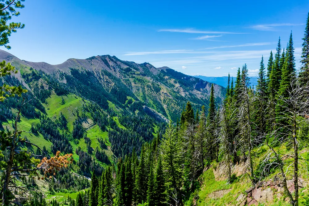 Fun Facts About Bozeman Montana