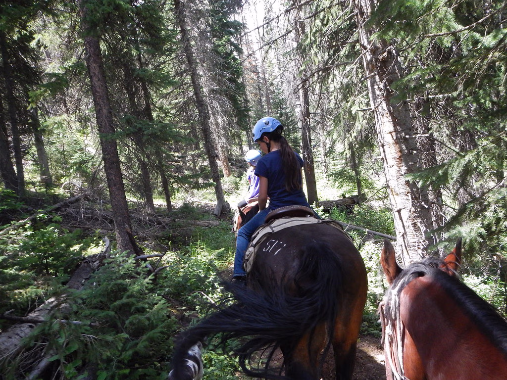 Horseback Riding