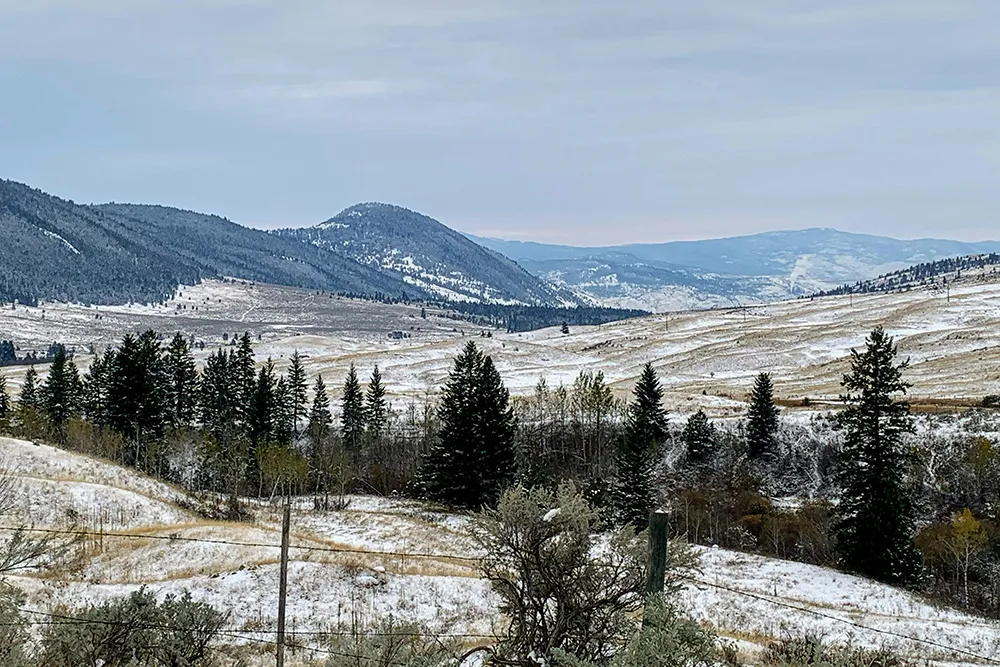 Montana in February