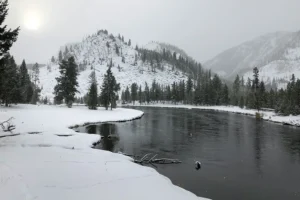 Montana in January