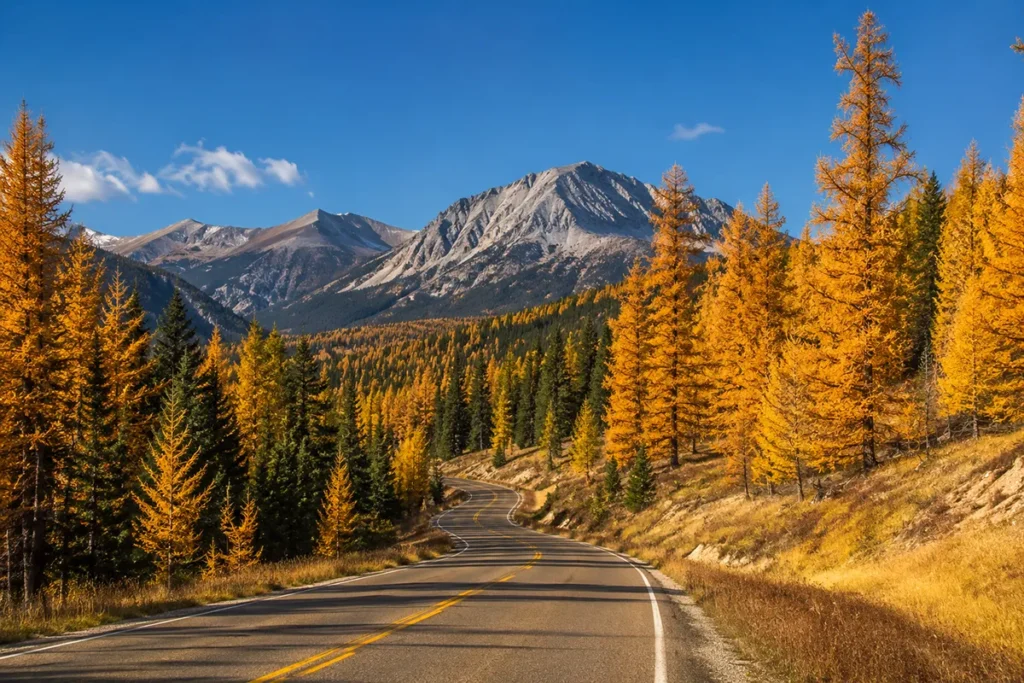Pioneer Mountains Scenic Byway in fall with golden larches and Beaverhead-Deerlodge National Forest in southwest Montana near Dillon