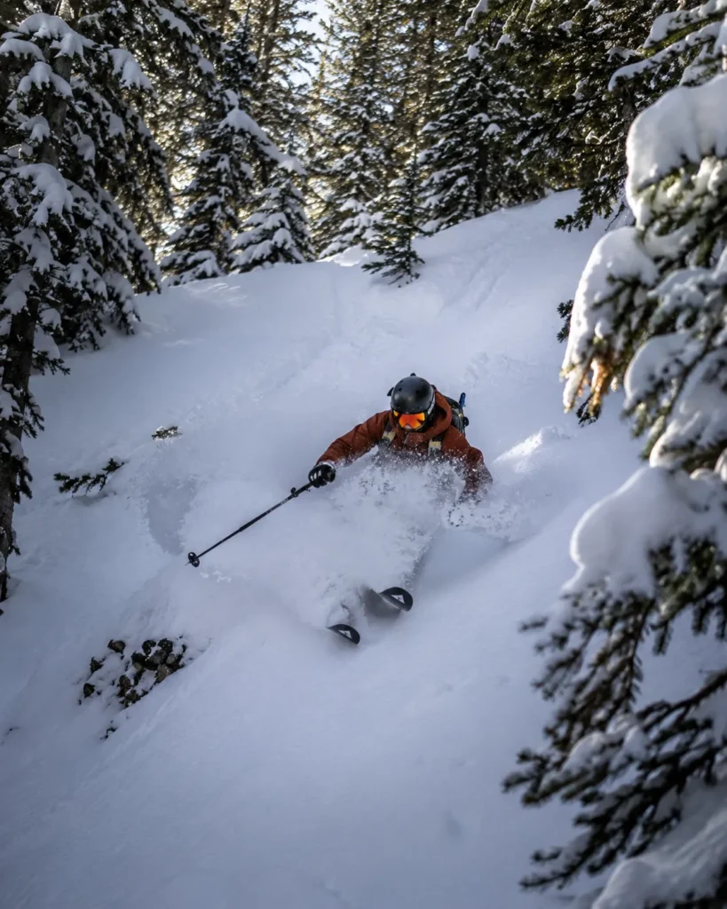 A skier dropping into steep tree skiing terrain at Discovery Ski Area with fresh powder spraying and dense evergreens framing the line