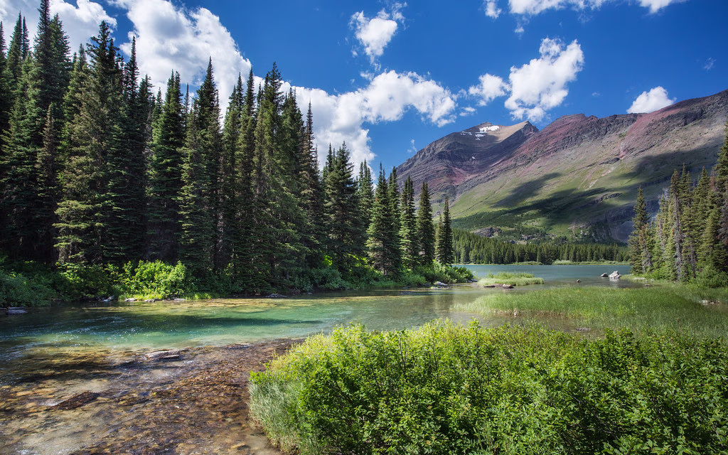Swiftcurrent Nature Trail