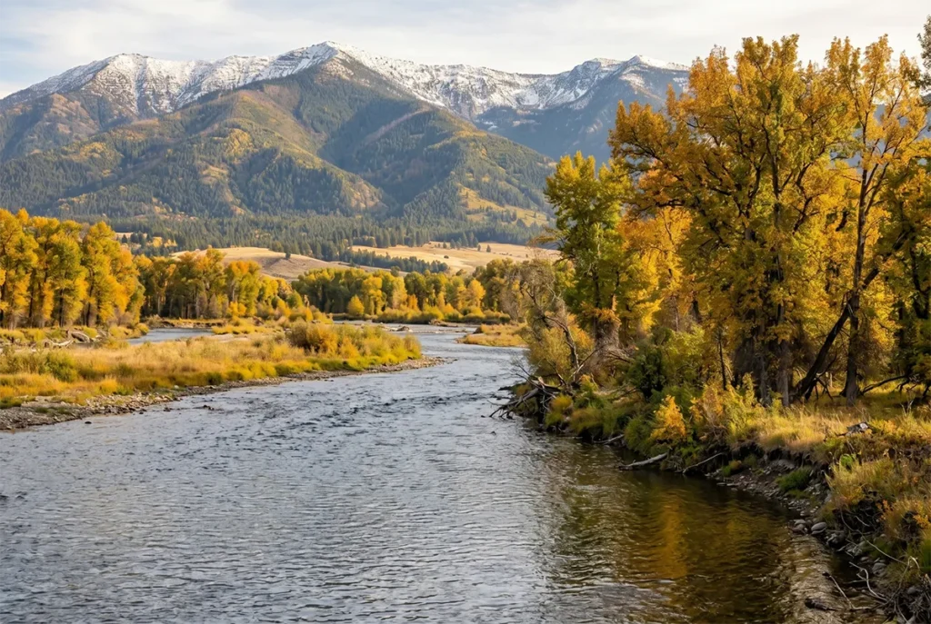 Cottonwood-lined banks of the Jefferson River with the Tobacco Root Mountains visible behind