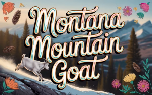 Montana Mountain Goat Guide: Wildlife Viewing