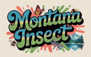 Montana Insect