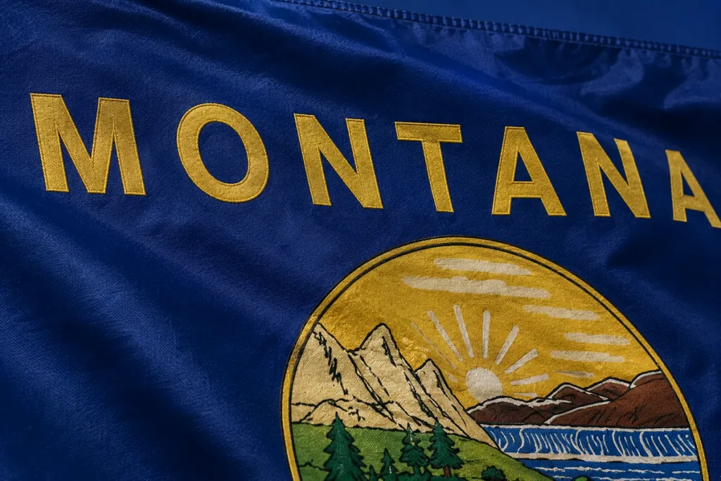 Close-up of MONTANA lettering on state flag showing gold text detail