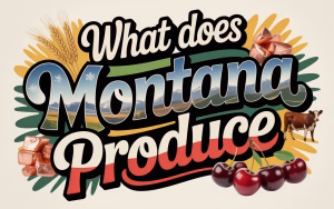 Read more about the article What Does Montana Produce? A Number of Surprises