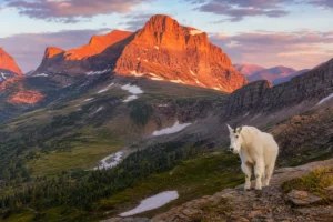 Read more about the article 11 Breathtaking Montana Mountain Scenery You Must See