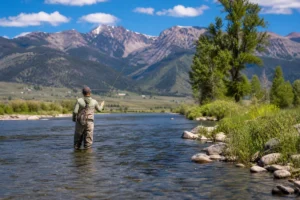 Read more about the article 13 Things to Do in Dillon, Montana: A Local’s Guide