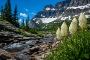 Read more about the article 21 Montana State Native Plants: A Complete Field Guide for Nature-Loving Travelers
