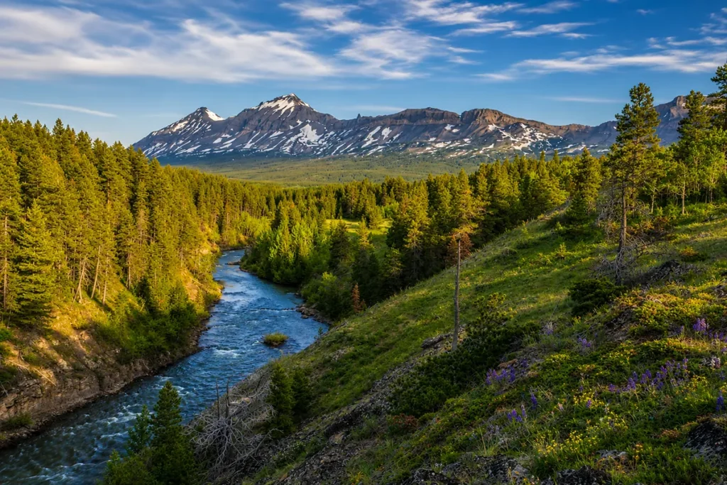 Helena-Lewis and Clark National Forest