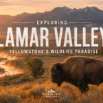 Lamar Valley, Montana: The Complete Wildlife & Visitor Guide (2026)