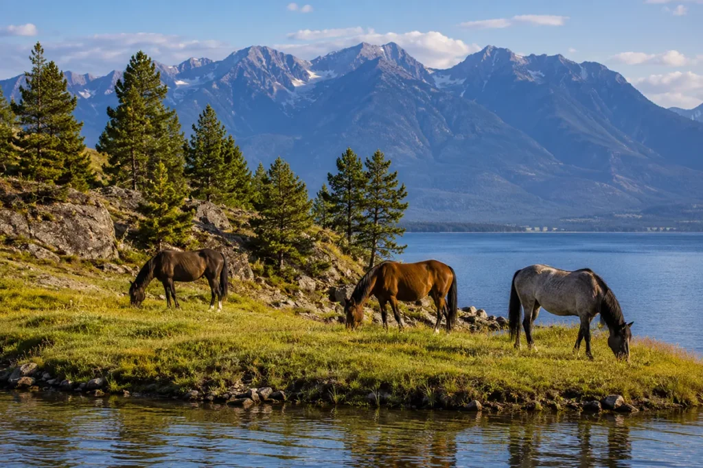 Wild horses on Wild Horse Island State Park in Flathead Lake Montana, mountains visible in background
