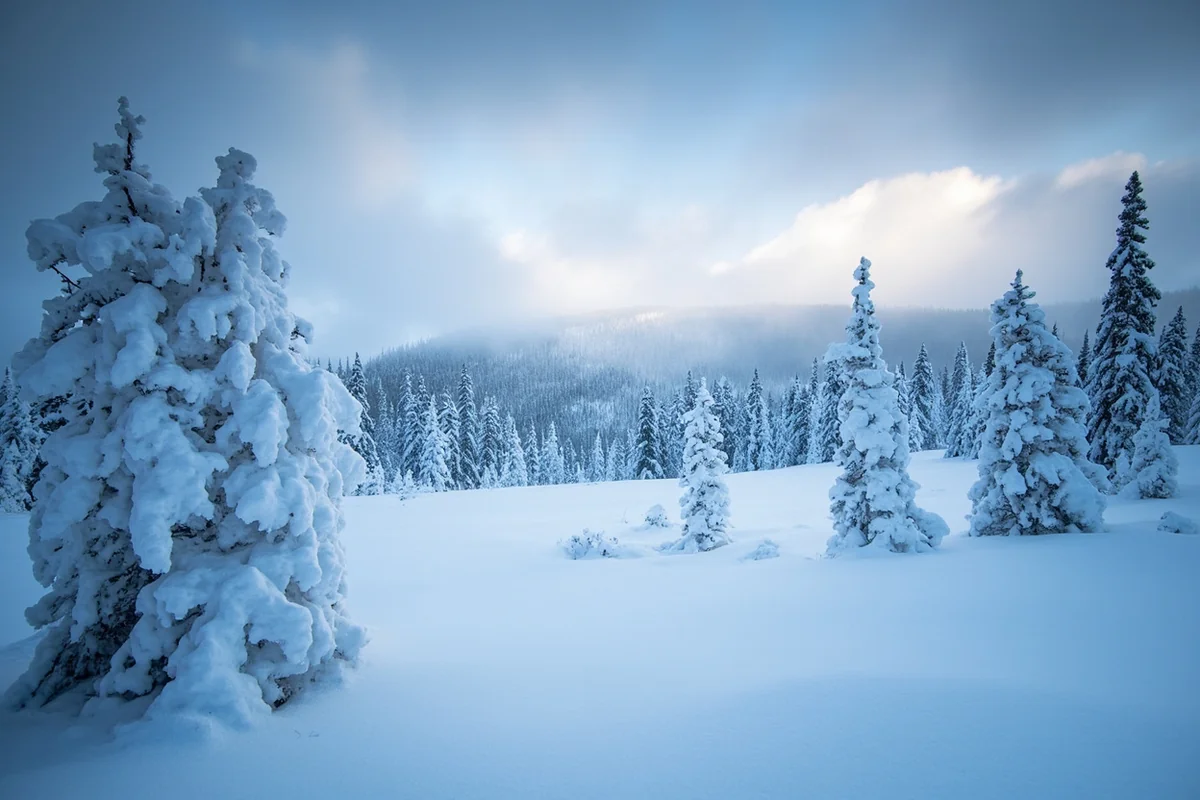 A dramatic Montana winter scene showing heavy snow and extreme cold conditions impossible on the moderate West Coast