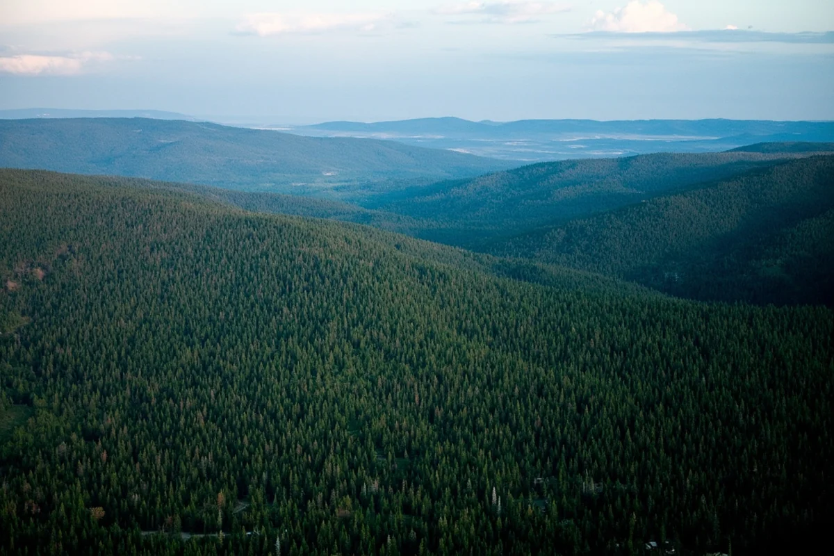 Aerial view of Montana wilderness near Lincoln showing dense forest and isolated terrain