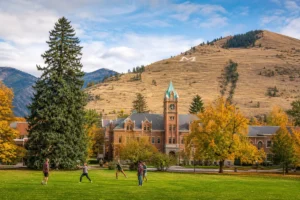 Read more about the article Best Colleges in Montana: A Complete Campus-by-Campus Guide
