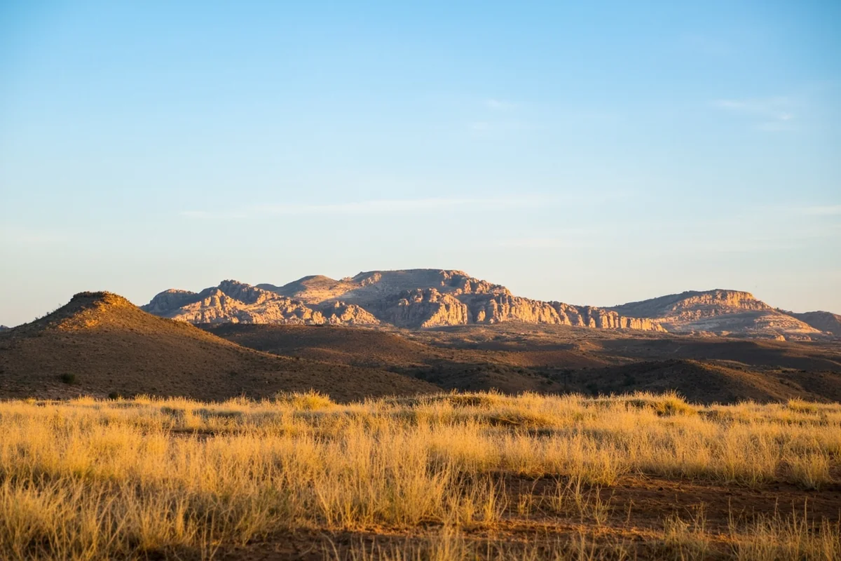 Billings skyline with rimrocks visible in background