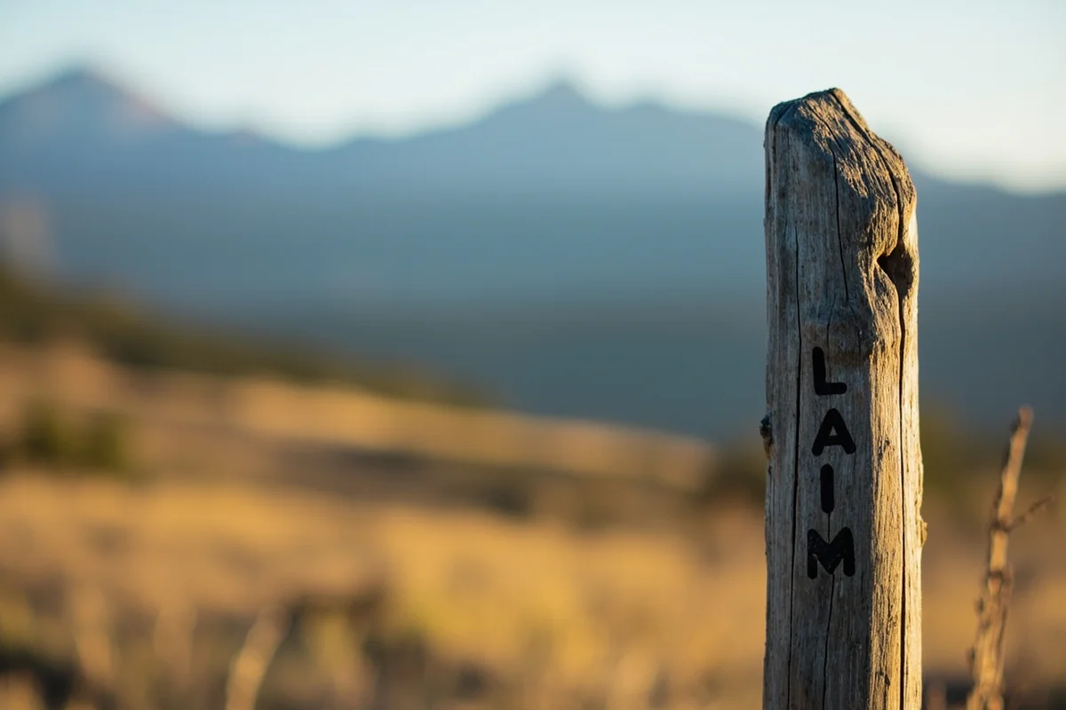 BLM claim marker post in Montana wilderness setting