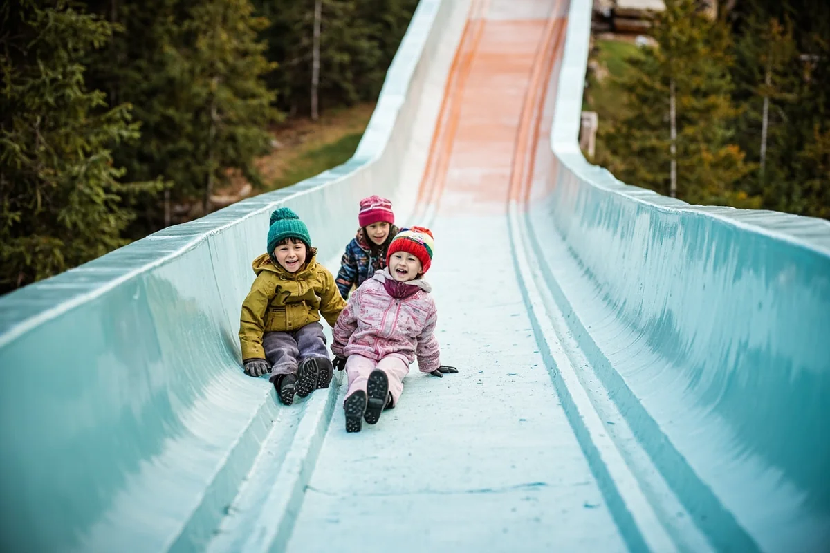 Children racing down alpine slide at Whitefish Mountain with forest surroundings