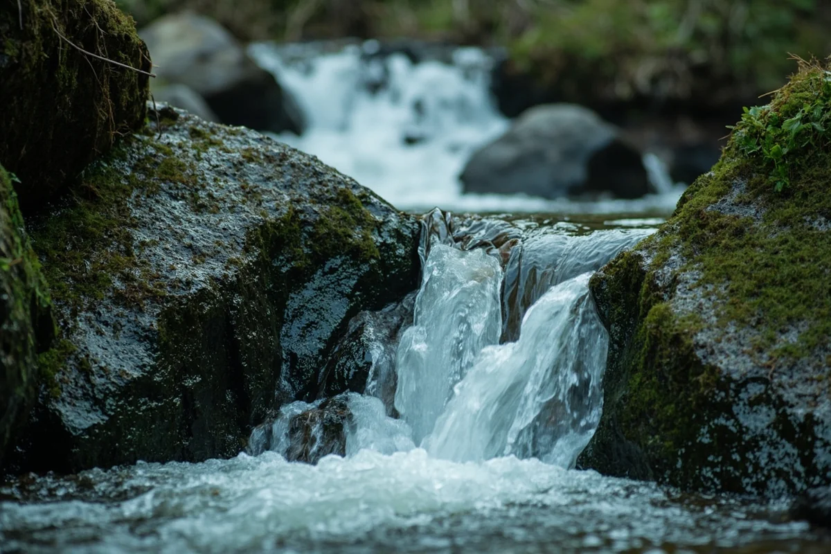 Close-up detail shot of water cascading over mossy rocks at Martin Falls