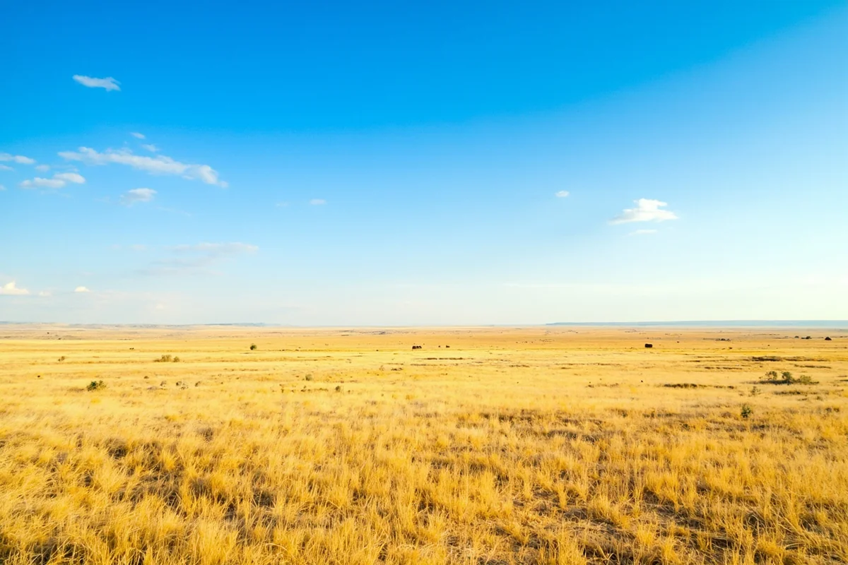 Expansive view of eastern Montana's semi-arid plains near Jordan, showing golden grasslands under blue sky