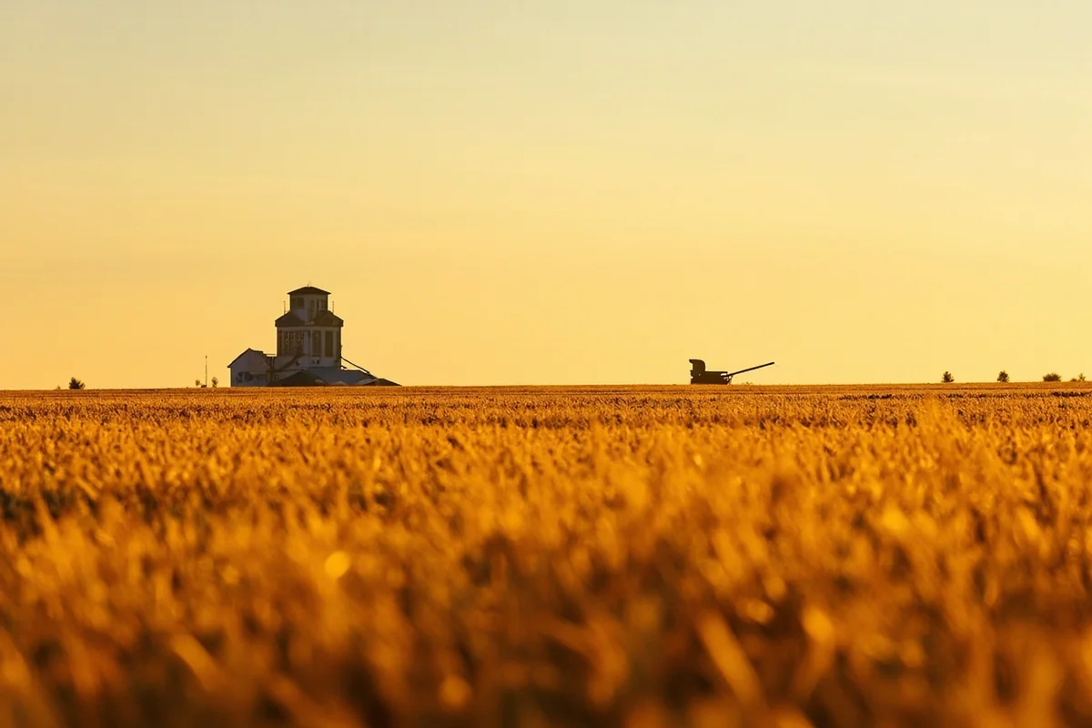 Golden wheat fields stretching to the horizon with grain elevator silhouette