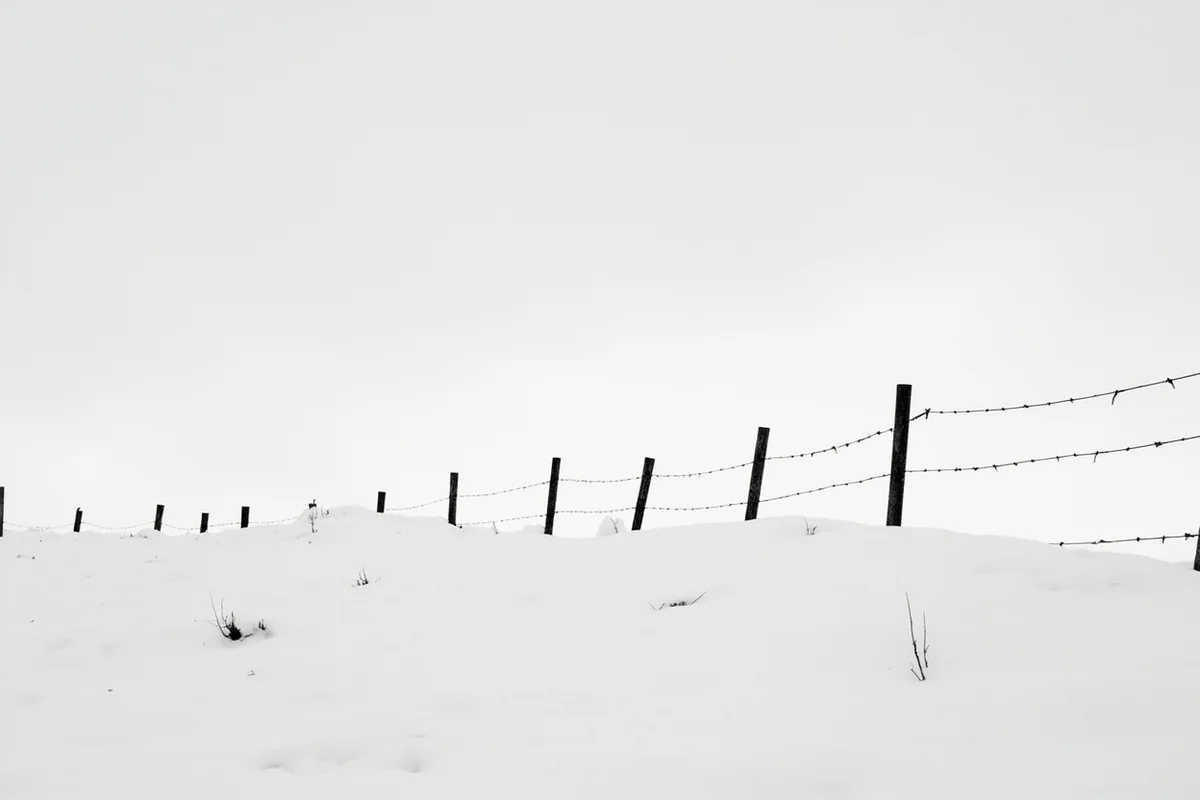 Historic black and white photo of snow-covered Montana cattle range with fence posts barely visible above drifts