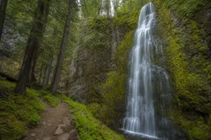Read more about the article Horsetail Falls Montana: Complete Trail Guide & Tips