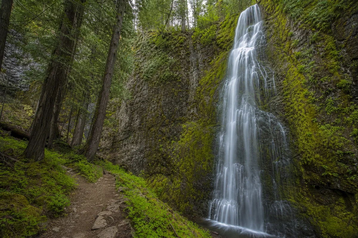 Read more about the article Horsetail Falls Montana: Complete Trail Guide & Tips