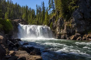 Read more about the article Knowles Falls Montana: A Hidden Yellowstone Treasure