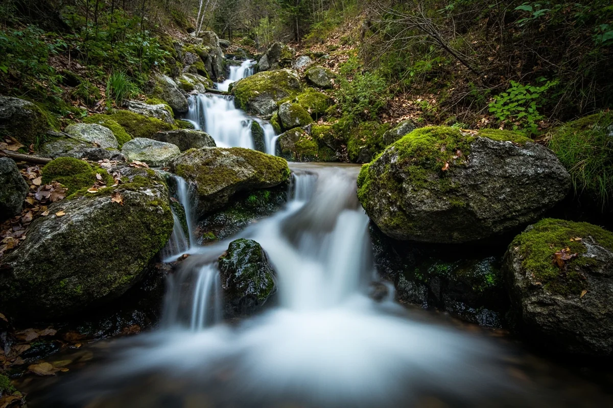 Little North Fork Falls cascading through moss-covered rocks in the Cabinet Mountains