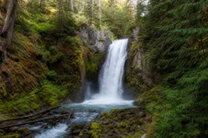 Read more about the article Little North Fork Falls Montana: Complete Trail Guide