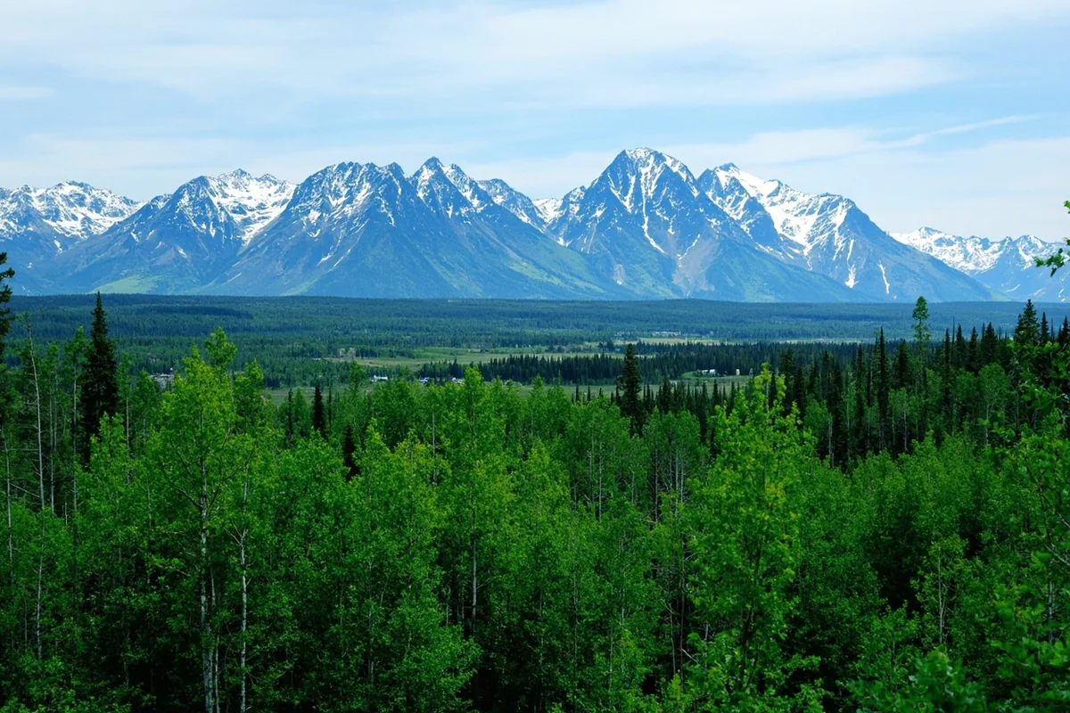 Lush green forests in the Flathead Valley contrasting with snow-capped peaks in background