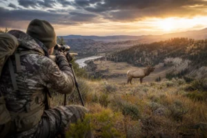 Read more about the article Montana Elk Hunting: Complete Guide for Your First Hunt