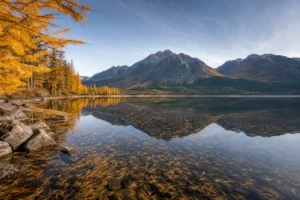 Read more about the article Montana in October: Golden Larches and Empty Trails