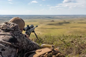 Read more about the article Montana Prairie Dog Hunting: Complete Planning Guide