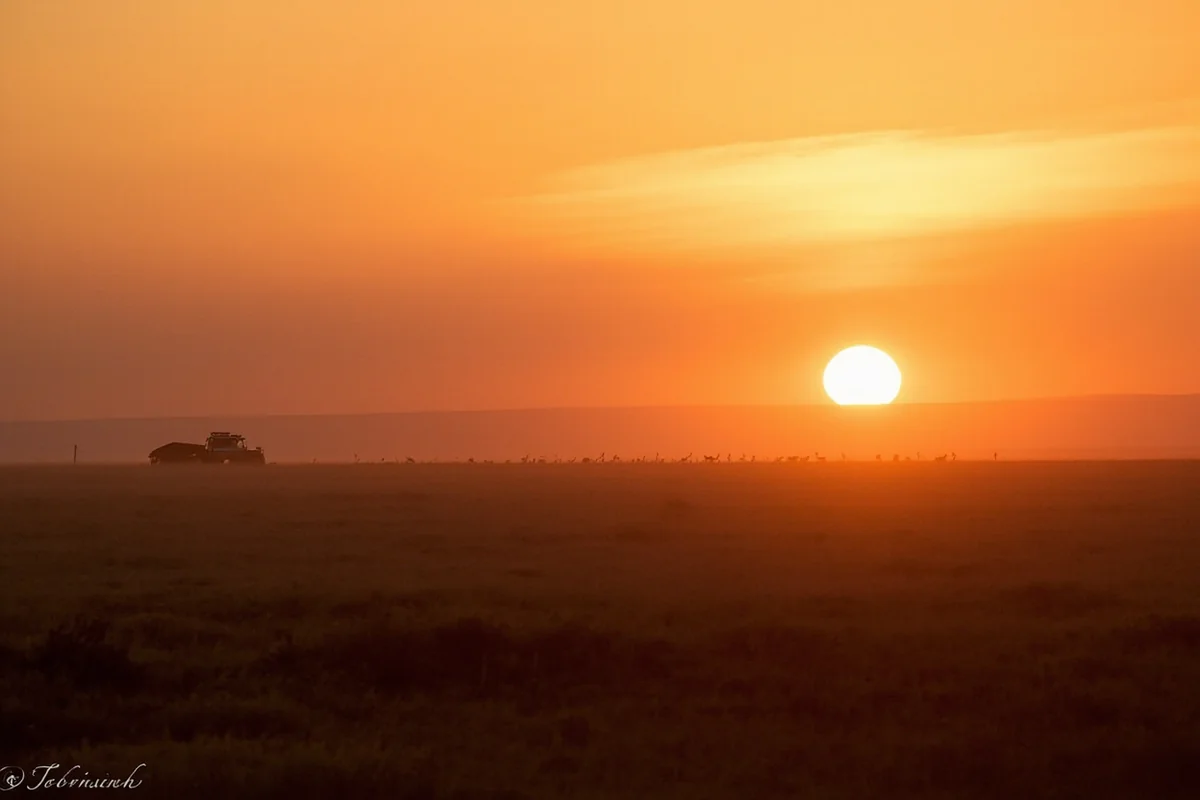 Montana sunrise over prairie landscape with hunting camp and truck visible, golden light illuminating distant pronghorn herd