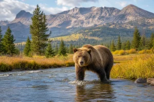 Read more about the article Montana Wildlife: Complete Guide to Iconic Animals