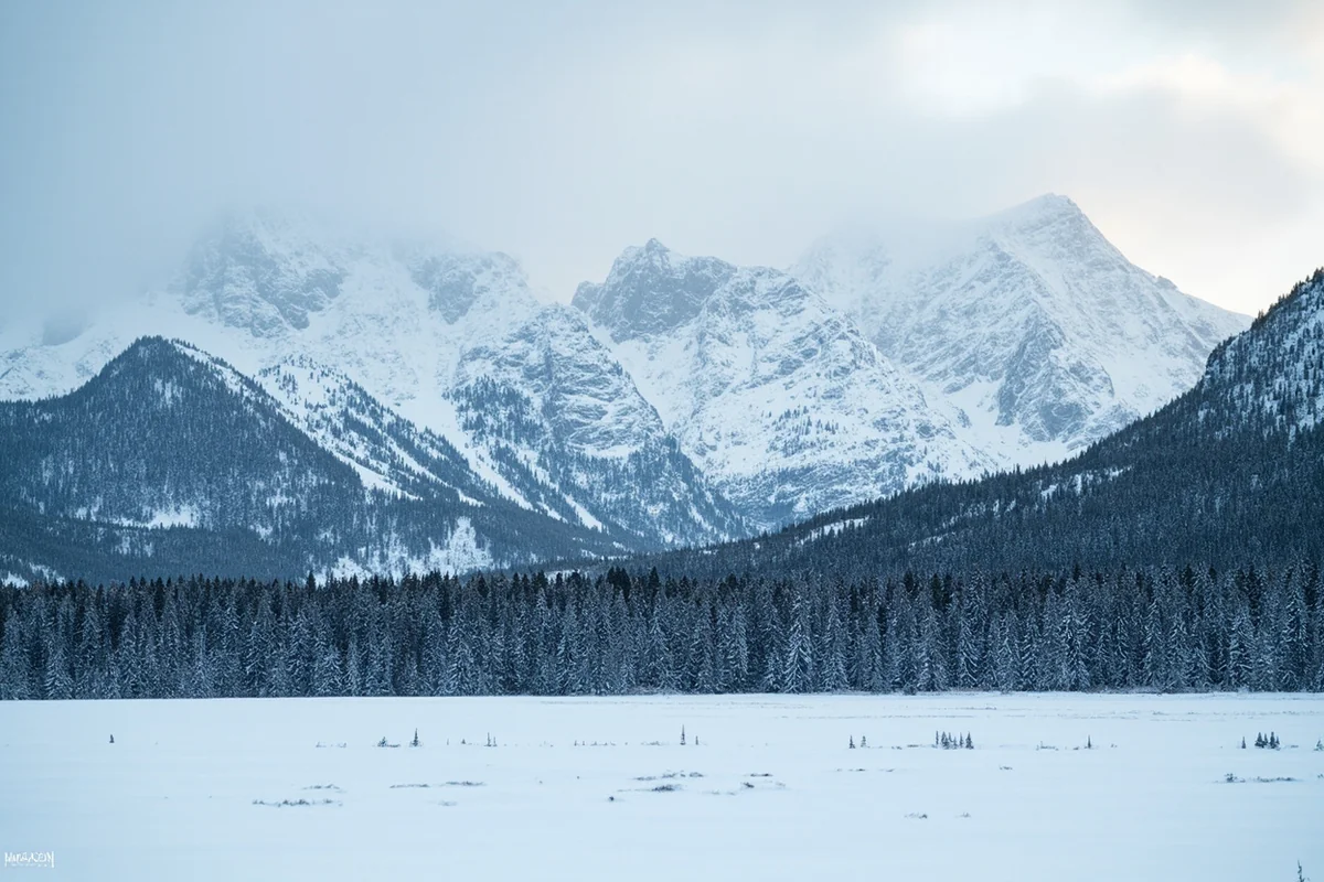 Montana winter landscape with snow-covered mountains and forest - typical mountain lion habitat