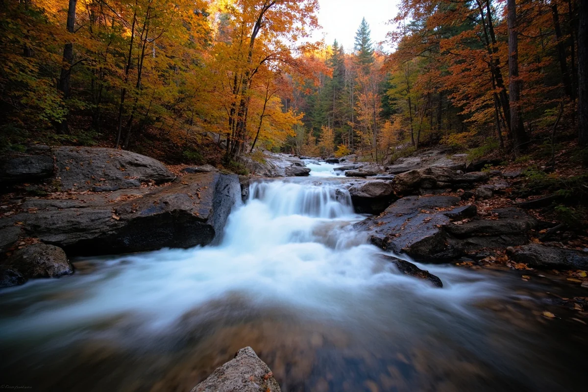 Morrell Falls during late season with reduced water flow and autumn colors in surrounding forest