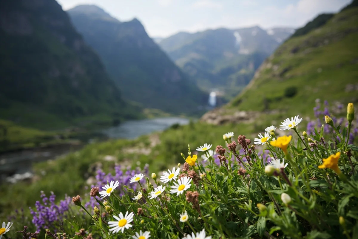 Mountain wildflowers with falls visible in background