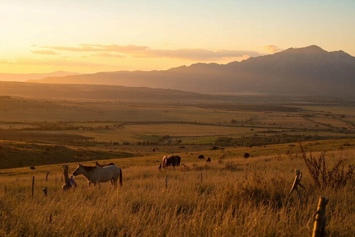 Panoramic view of Montana ranch with mountains in background at golden hour