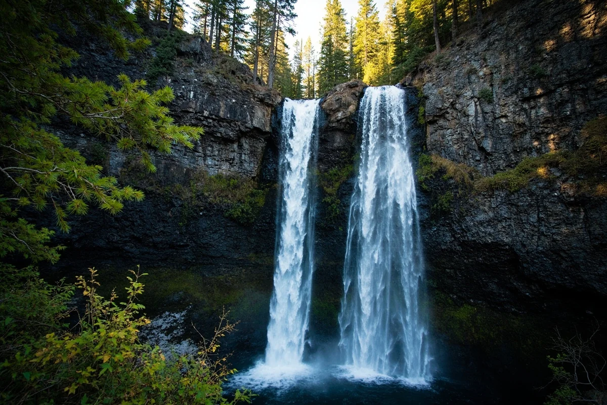 Pioneer Falls cascading down rocky cliff face surrounded by evergreen forest