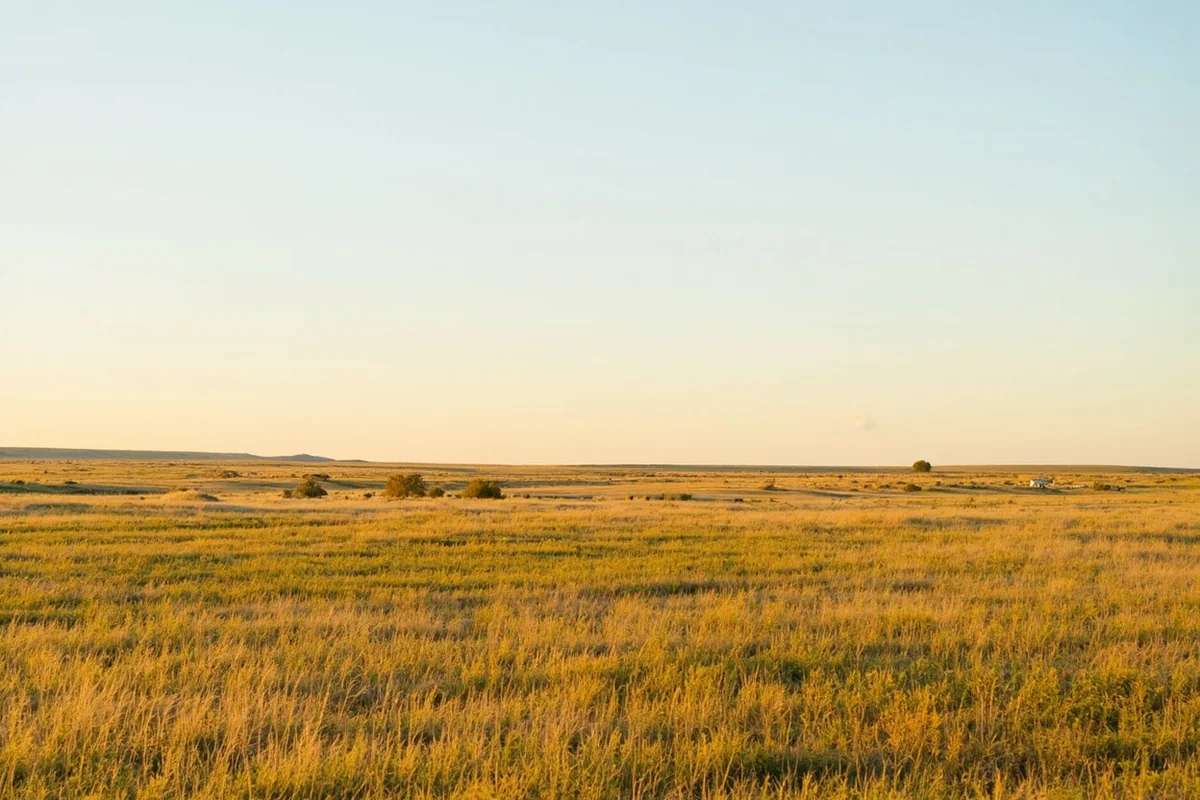 Prairie landscape along the Montana-North Dakota border near Sidney, with vast grasslands extending to the horizon