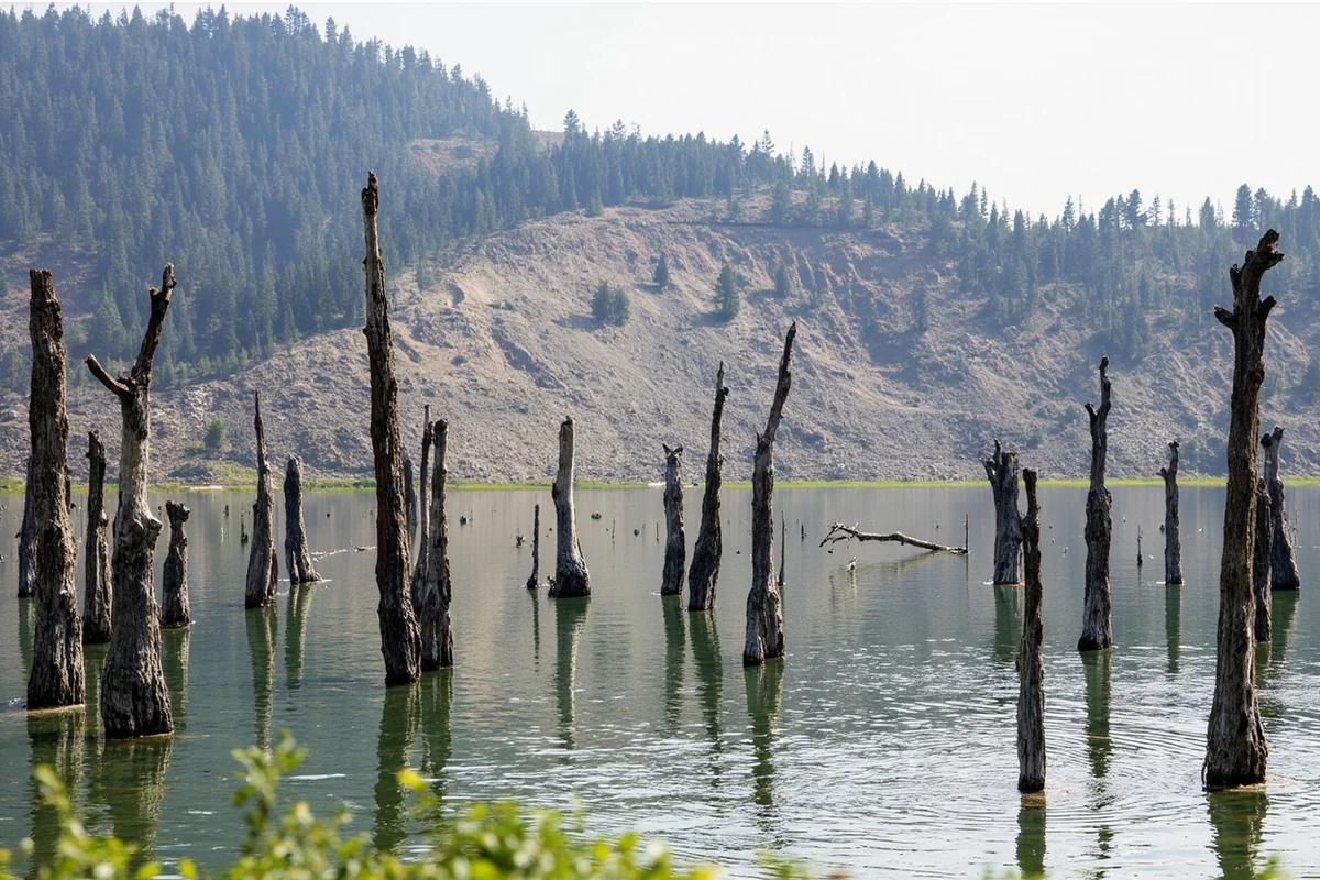 Quake Lake showing dead standing trees in water with earthquake-damaged hillside in background