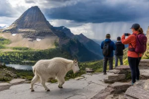 Read more about the article 17 Reasons To Visit Montana: Why Big Sky Country Calls